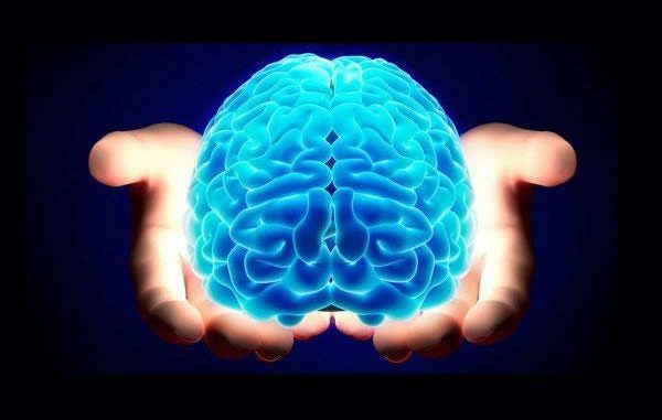 Image result for Il cervello è l’organo più pesante del corpo umano.